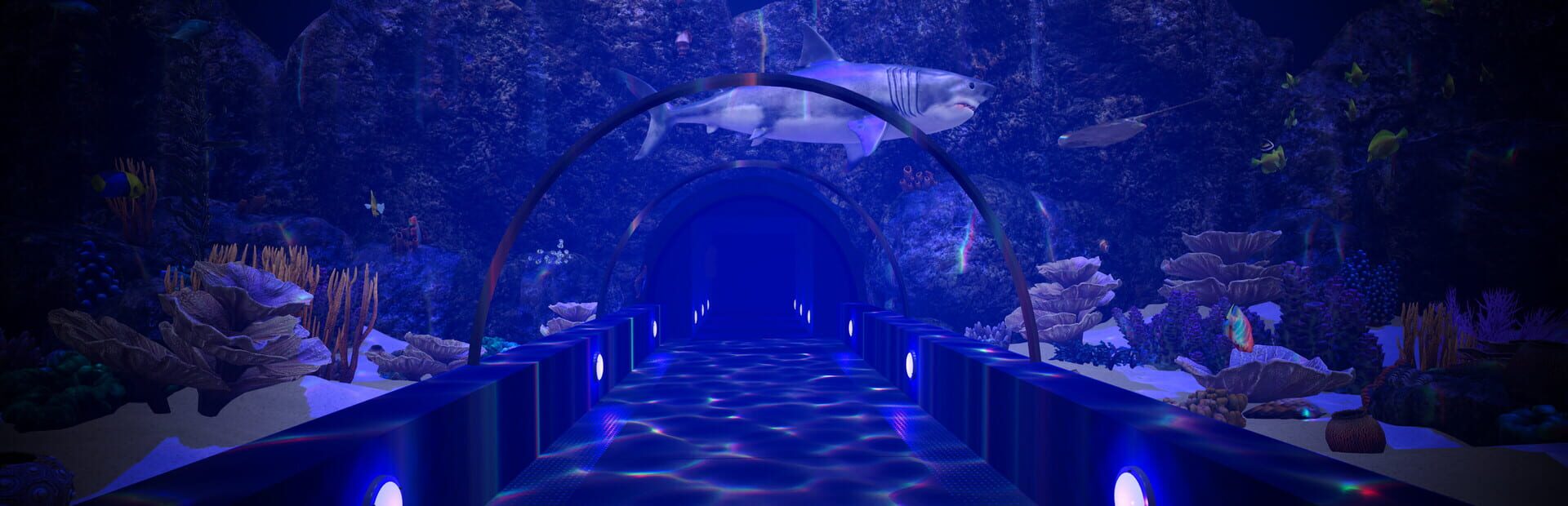 Artwork for Aquarium Anomaly