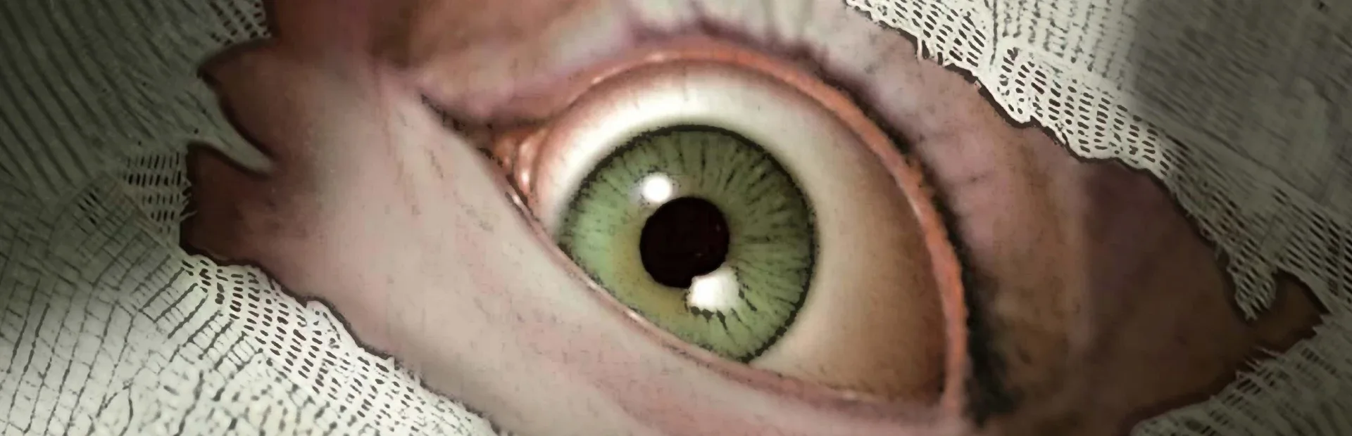 Sanitarium Enhanced