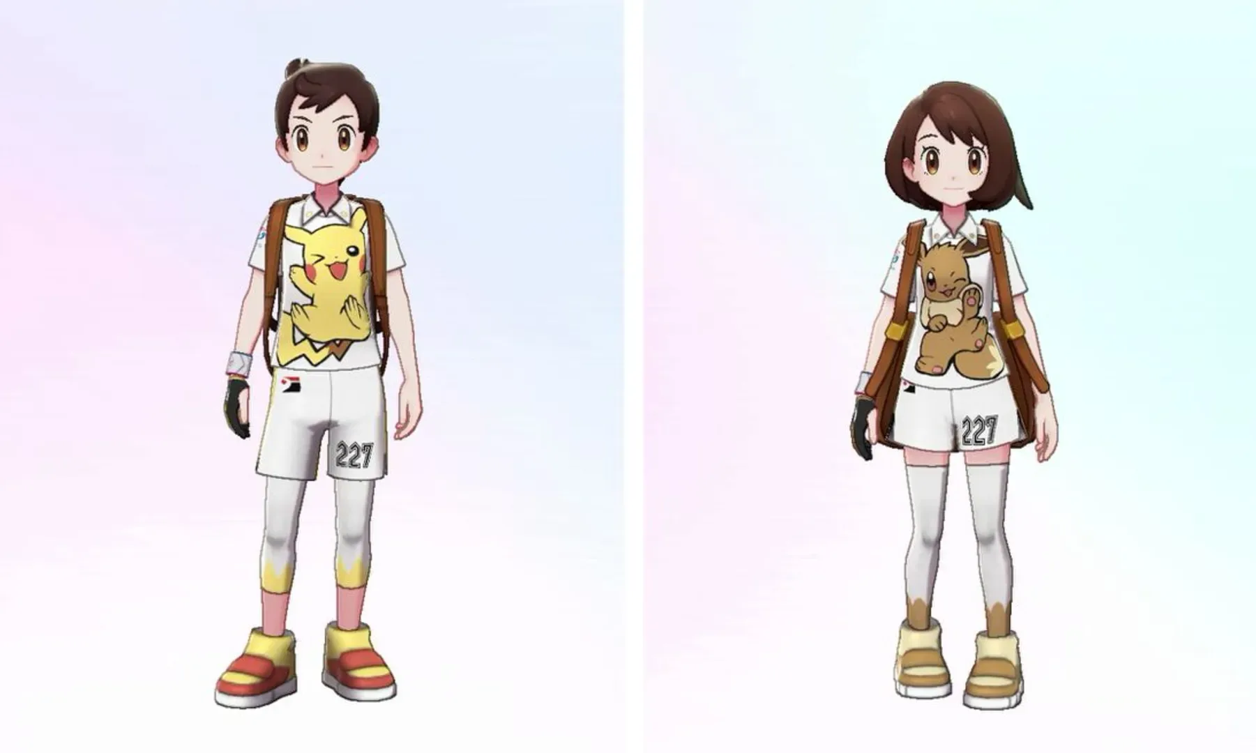 Pokémon Sword Expansion Pass
