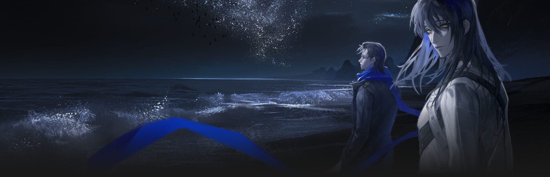 Project II: Silent Valley artwork