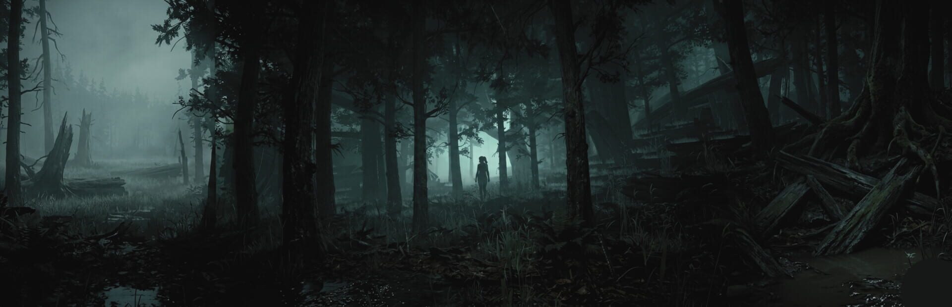 Artwork for Destined Notes: The Written Fate