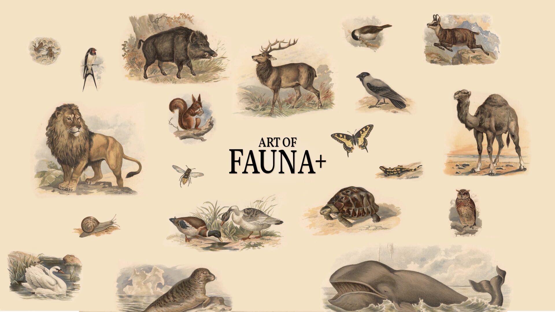 Artwork for Art of Fauna: Cozy Puzzles+