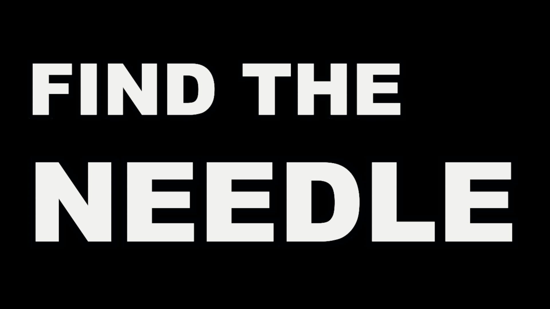Find The Needle