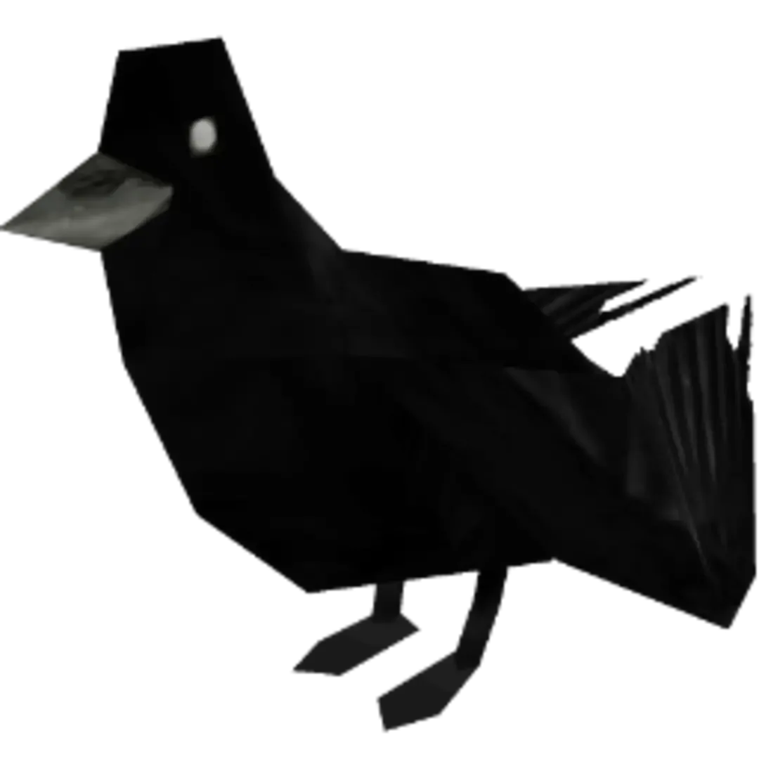 Nightmare Class Project