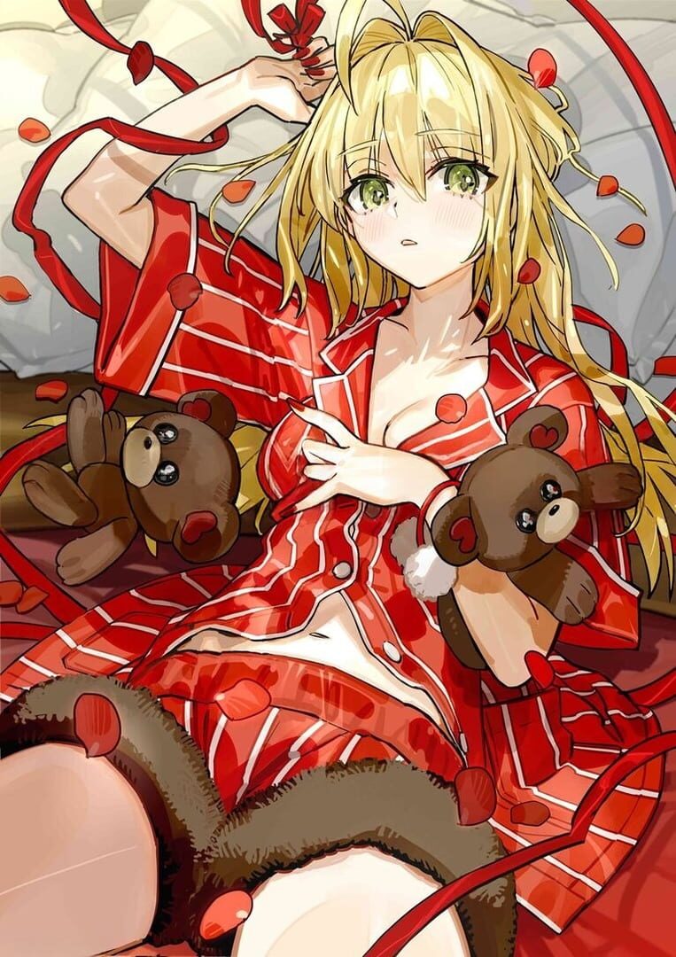 Fate/Extra Record: Animate Limited Set