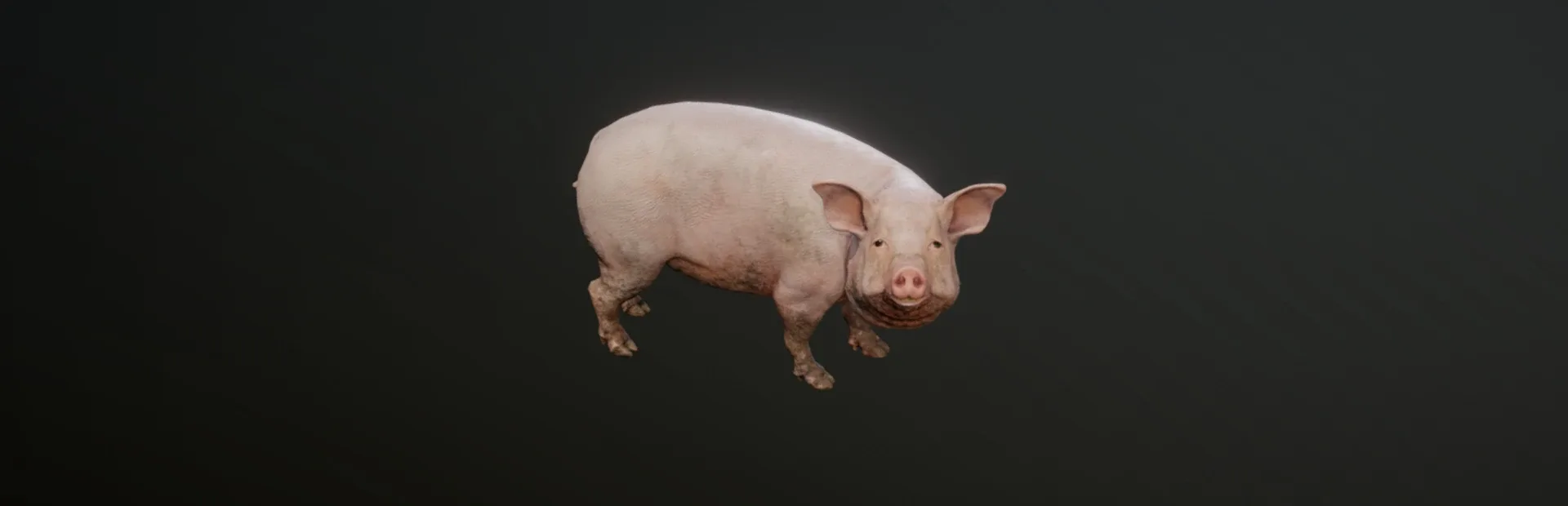 Pih