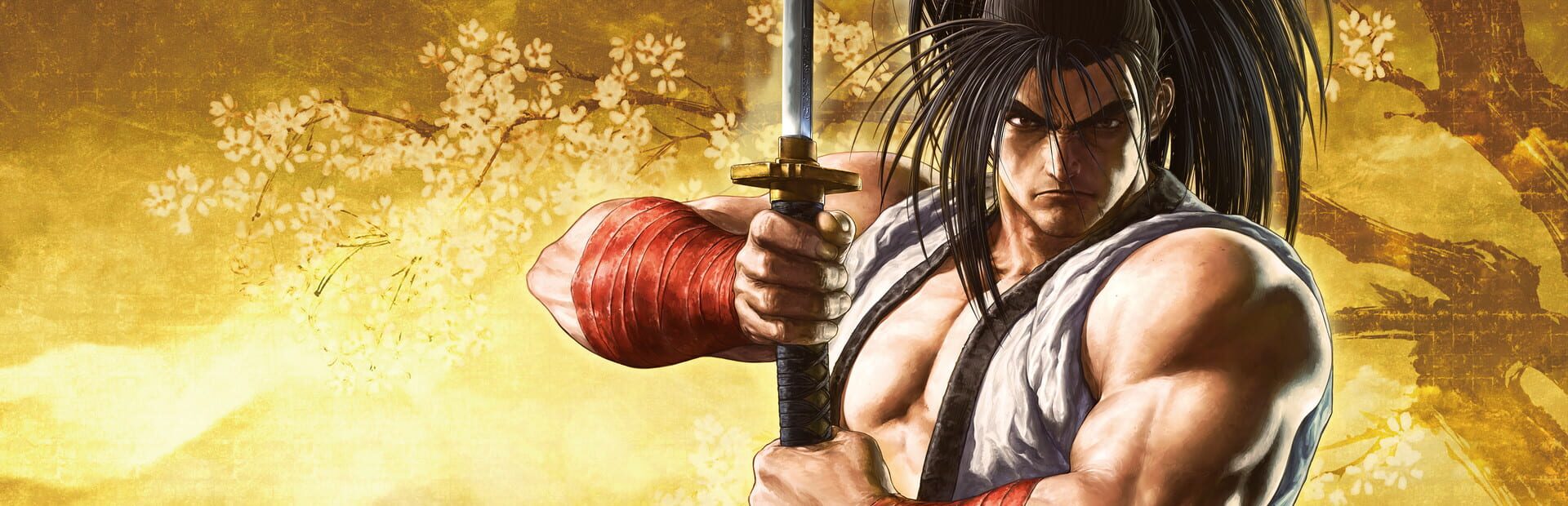 Samurai Shodown artworks