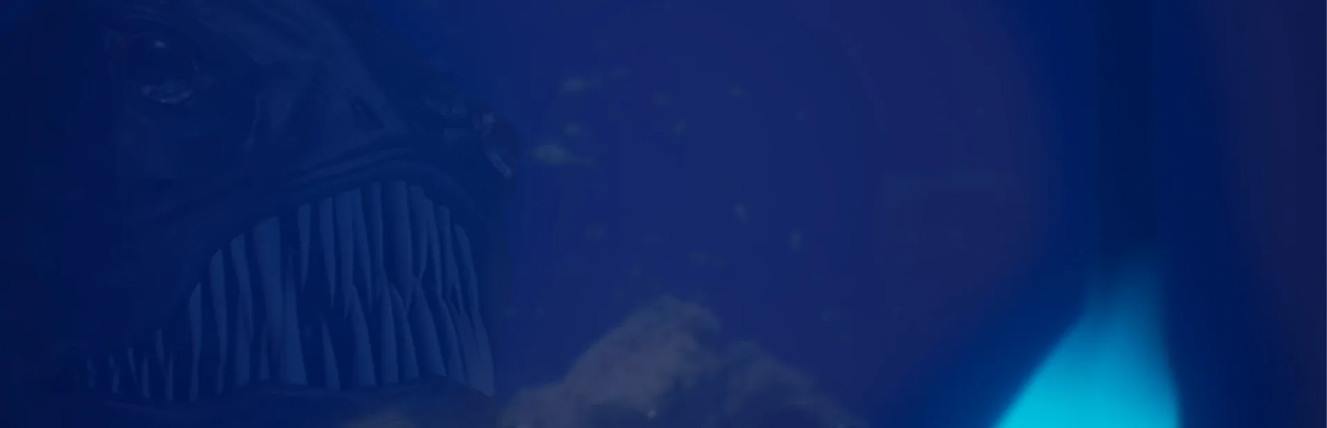 Halu: The Fish