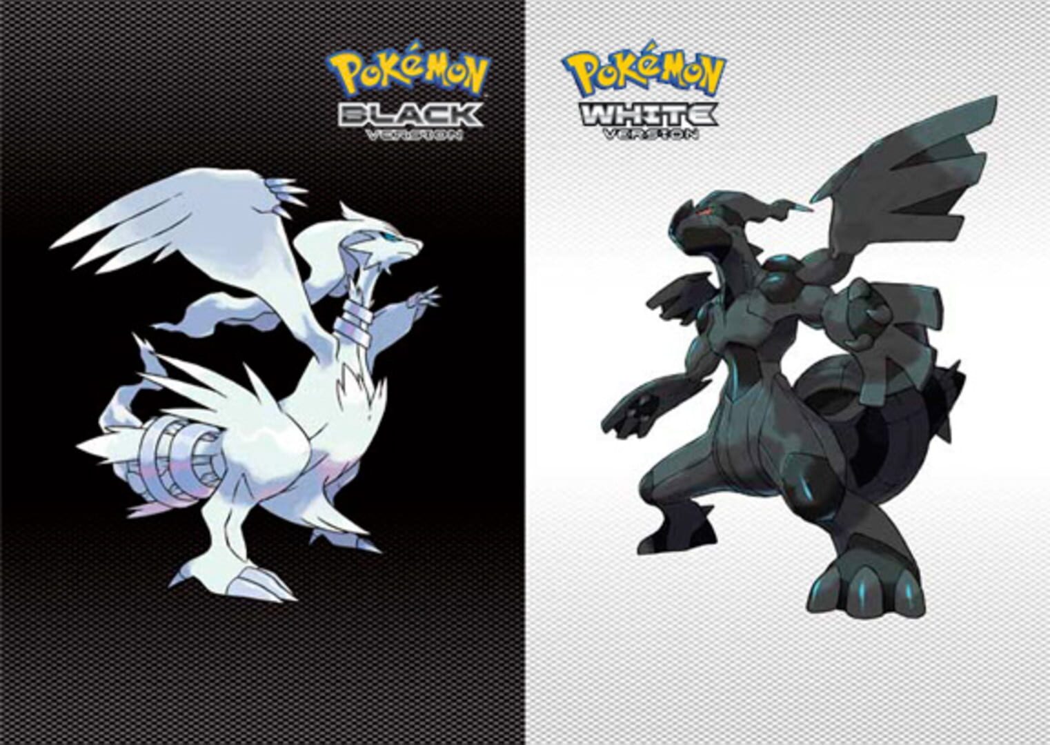 Arte - Pokémon White Version