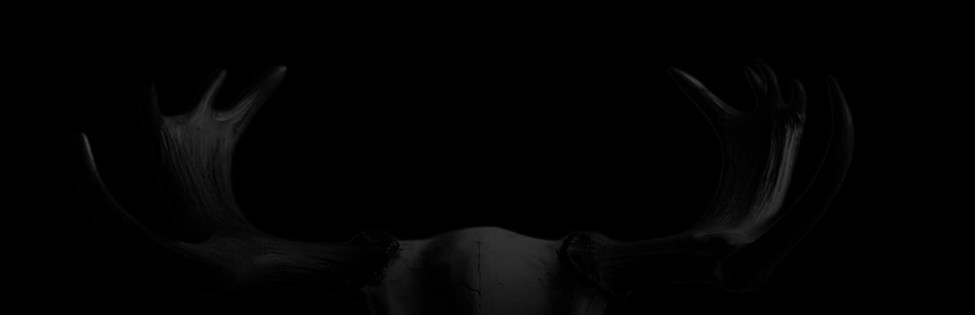 A Northern Evil: Tape One · 宣传原画