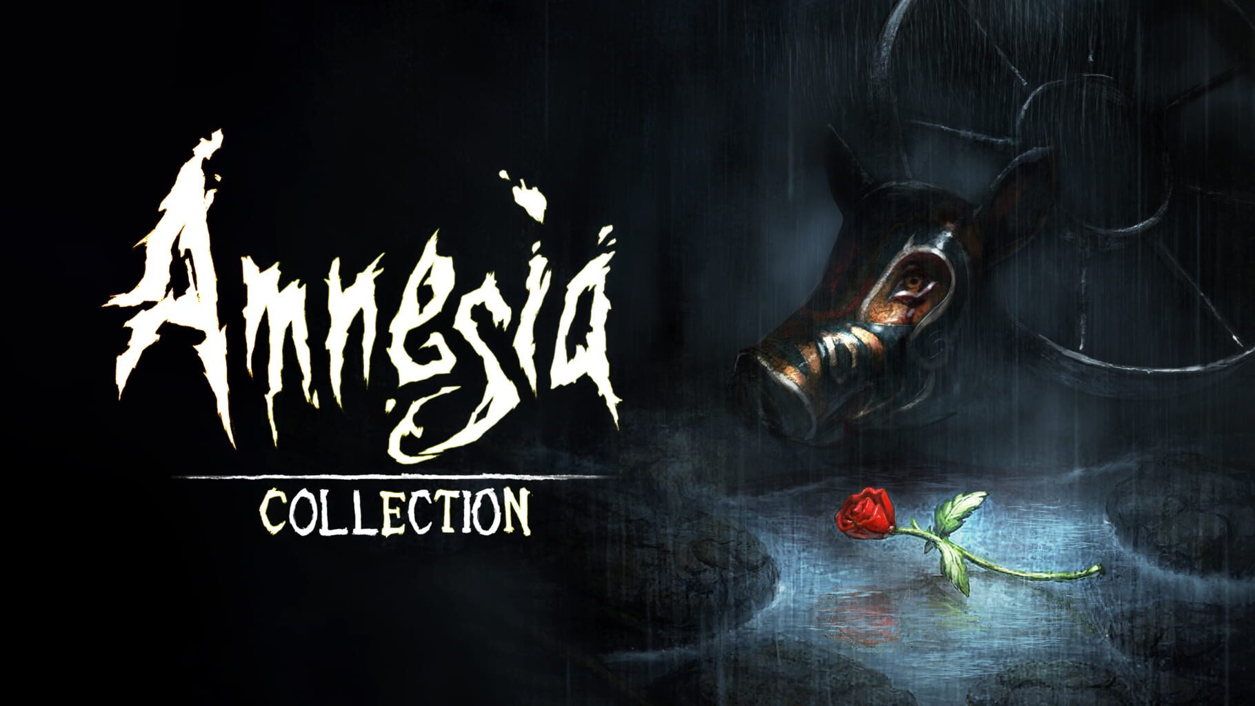 Amnesia: Collection artwork