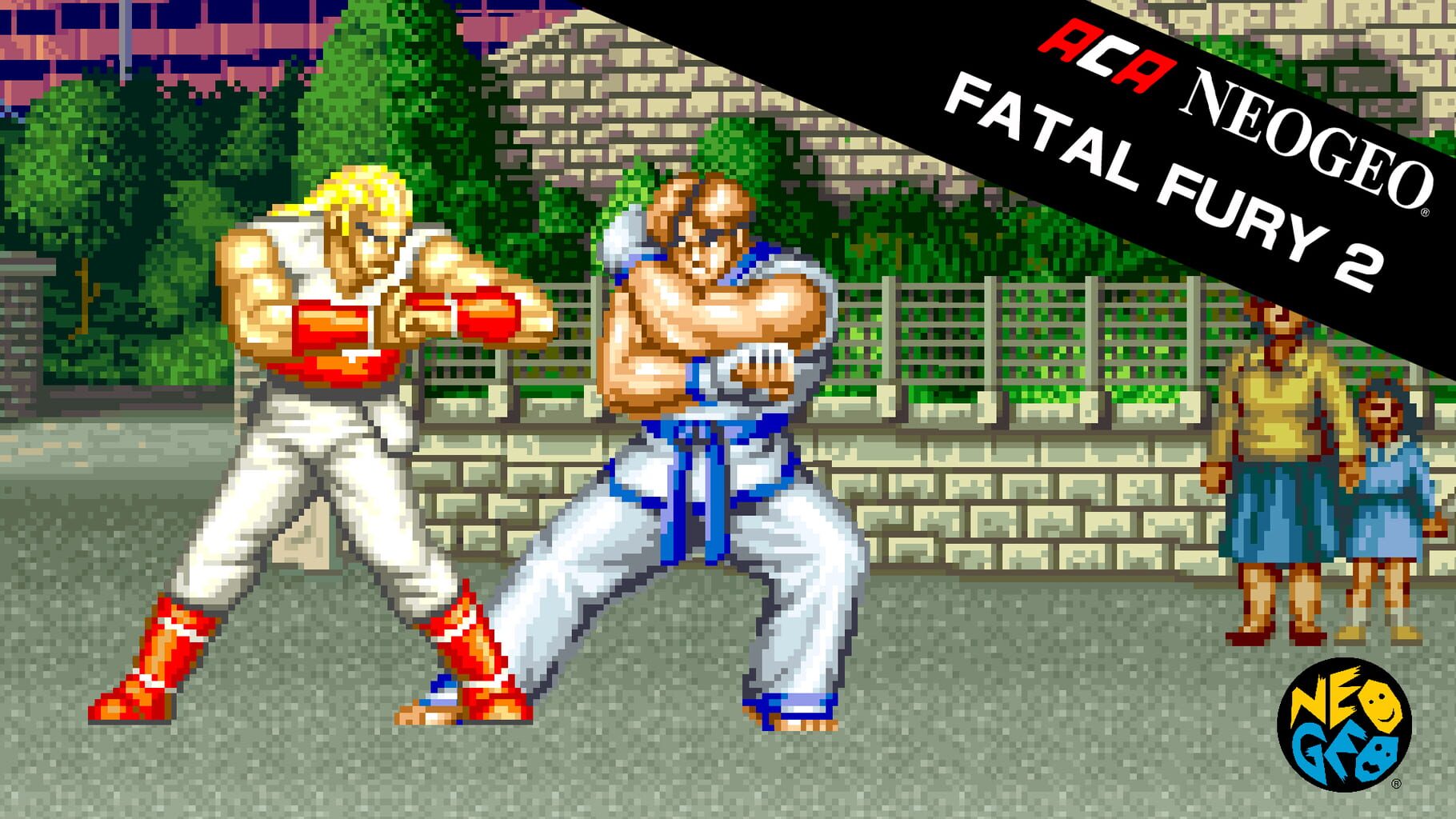 Arte - ACA Neo Geo: Fatal Fury 2