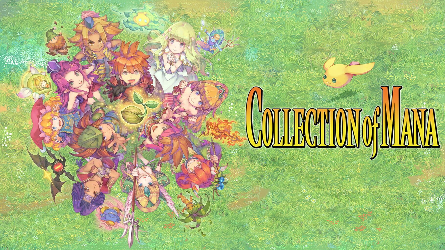 Collection of Mana artwork