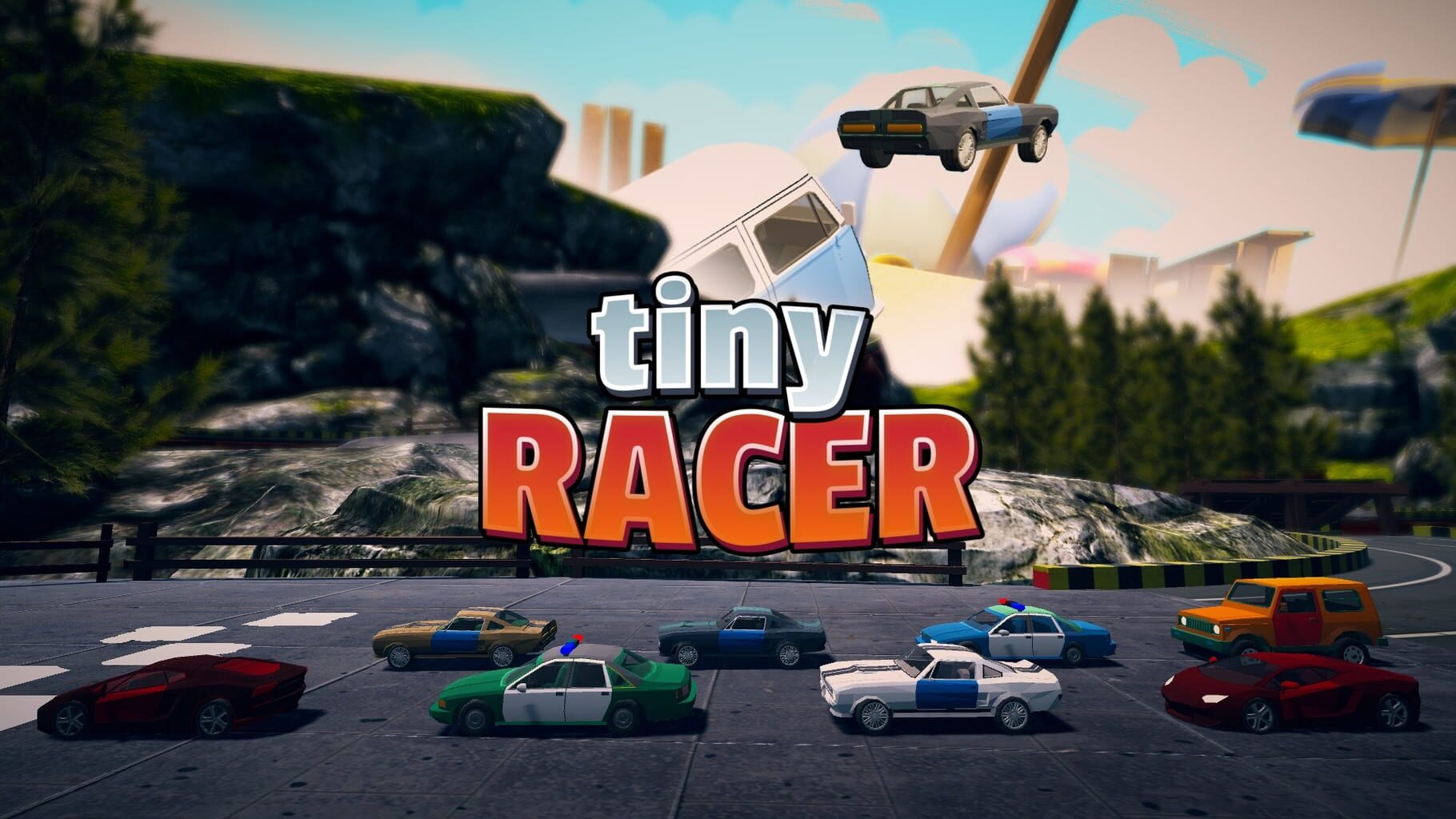 Tiny Racer artwork