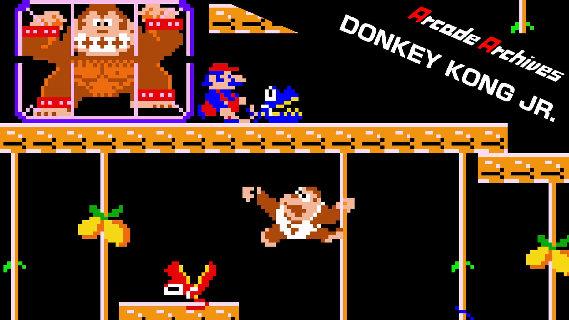 Arcade Archives: Donkey Kong Jr. artwork