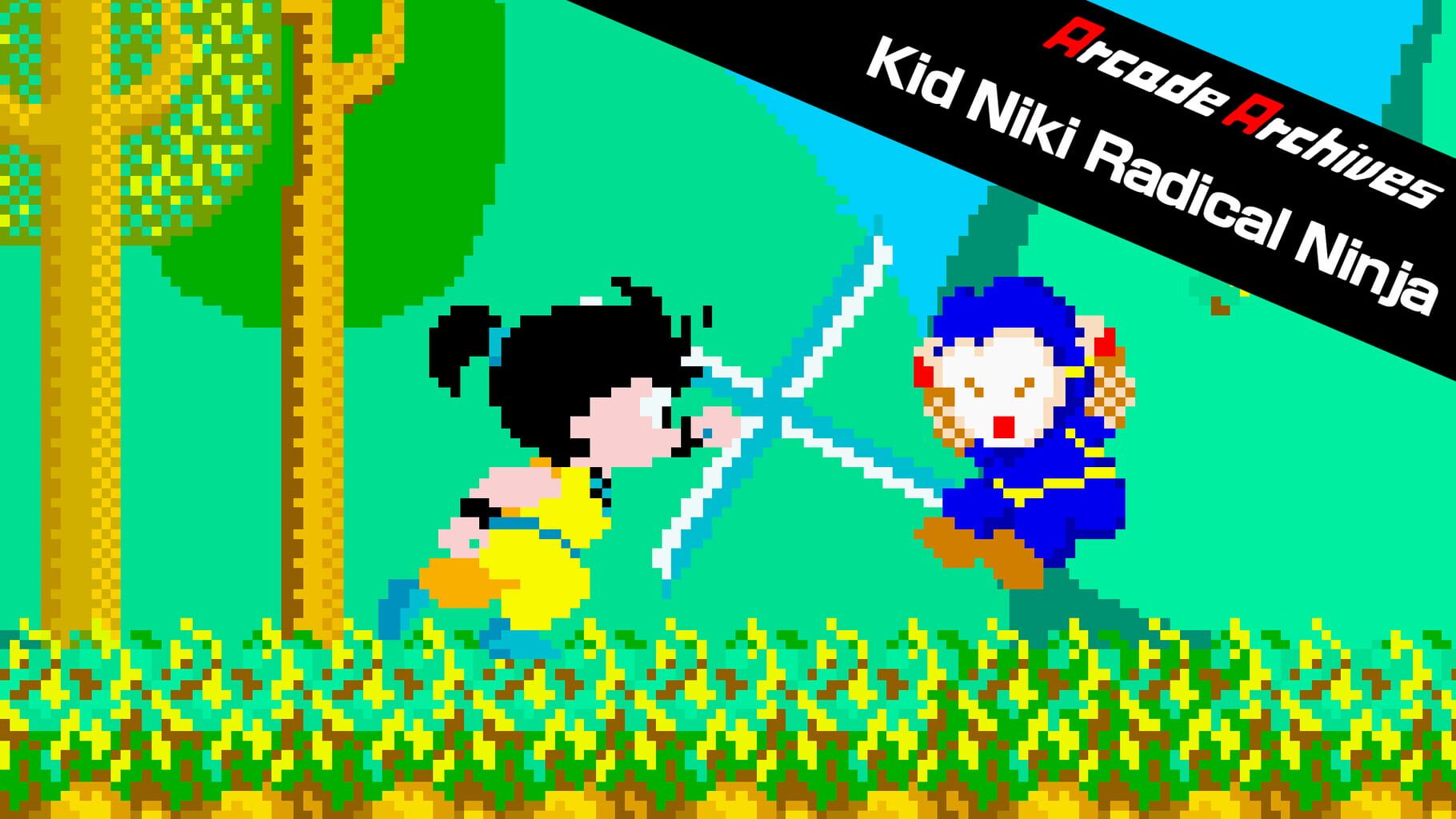 Arcade Archives: Kid Niki - Radical Ninja artwork
