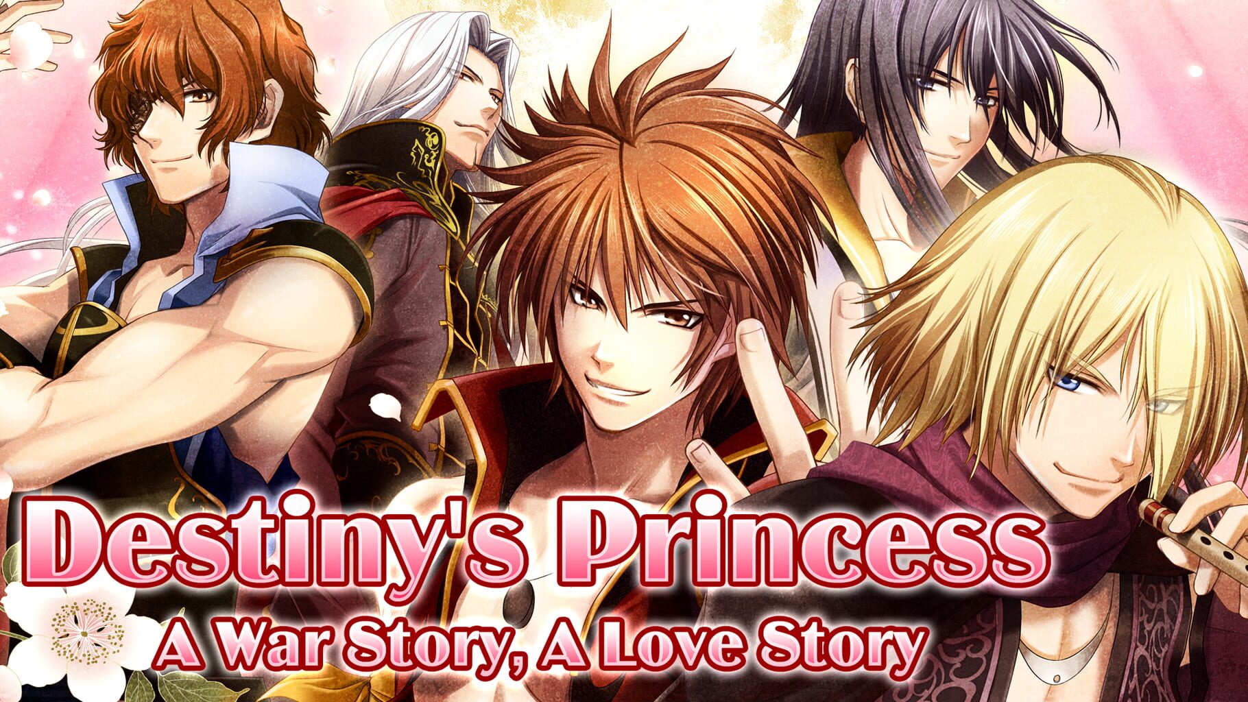 Destiny's Princess: A War Story, A Love Story artwork