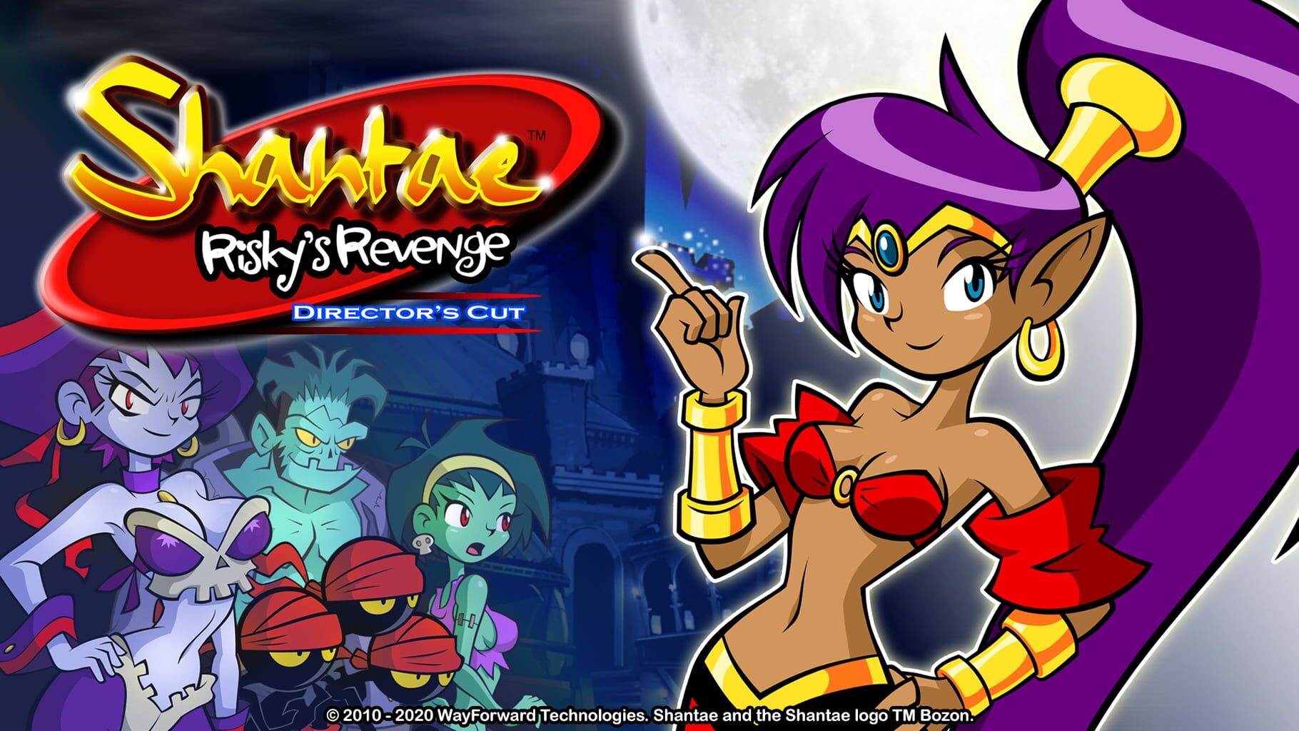 Shantae: Risky's Revenge - Director's Cut artwork