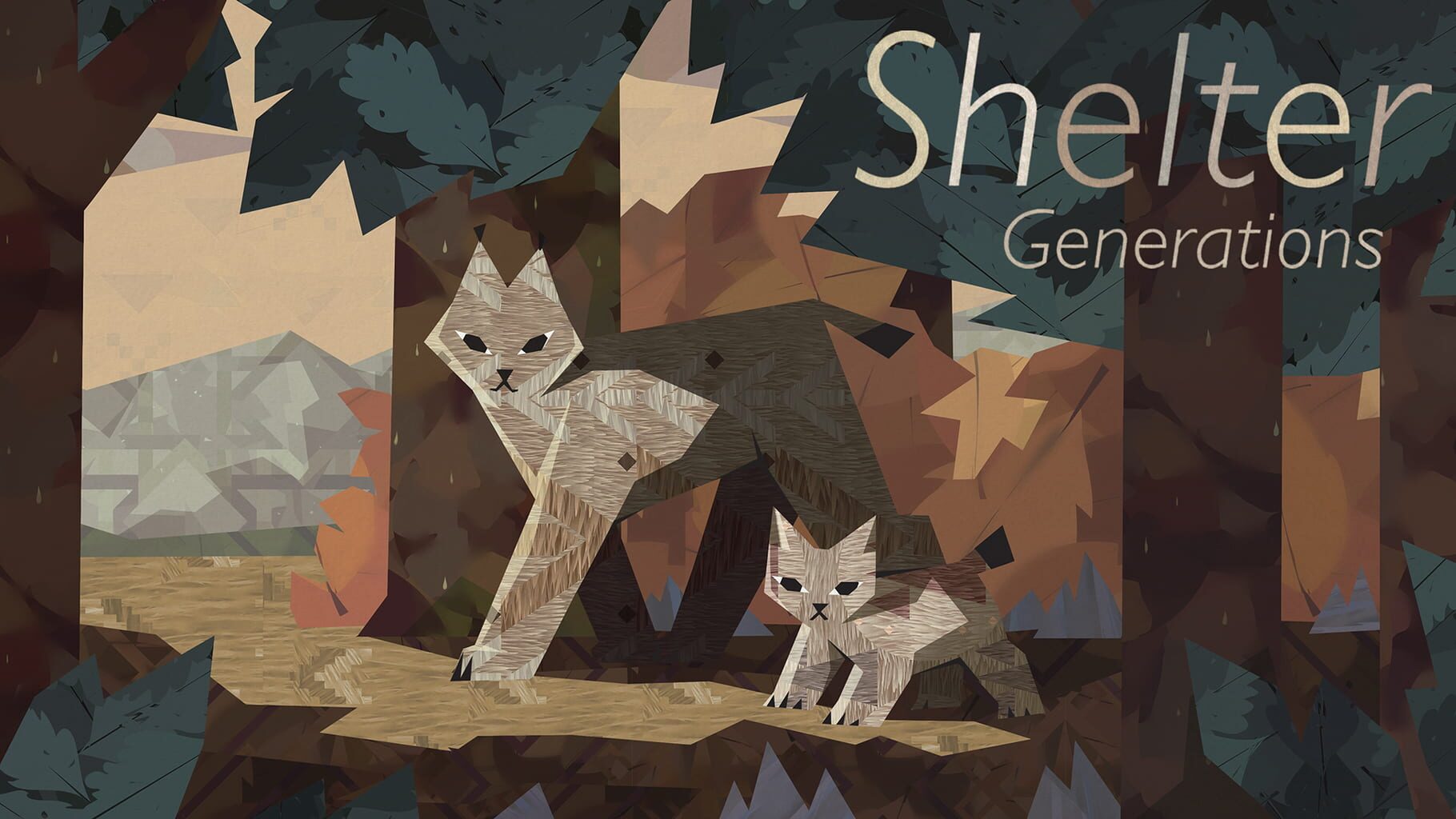 Shelter Generations artwork