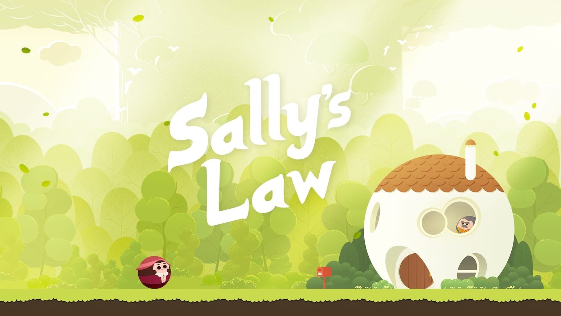 Sally's Law artwork