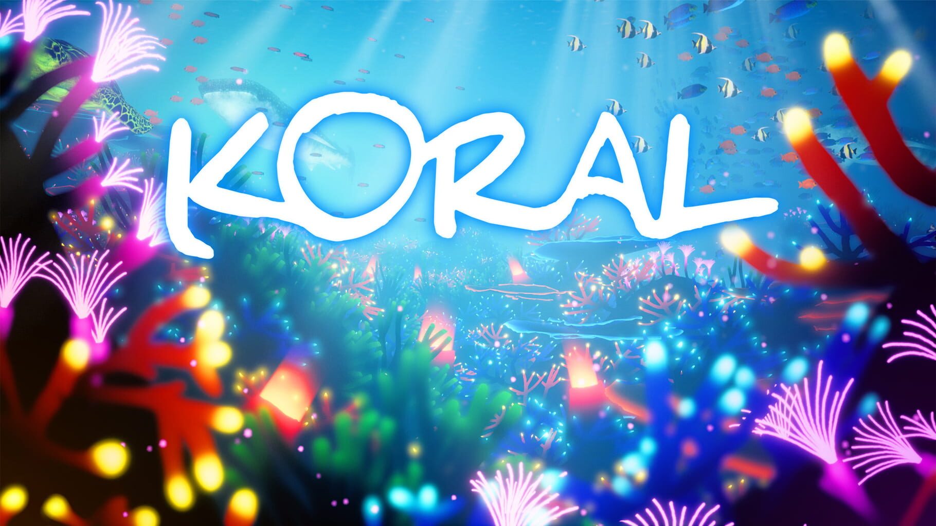 Arte - Koral