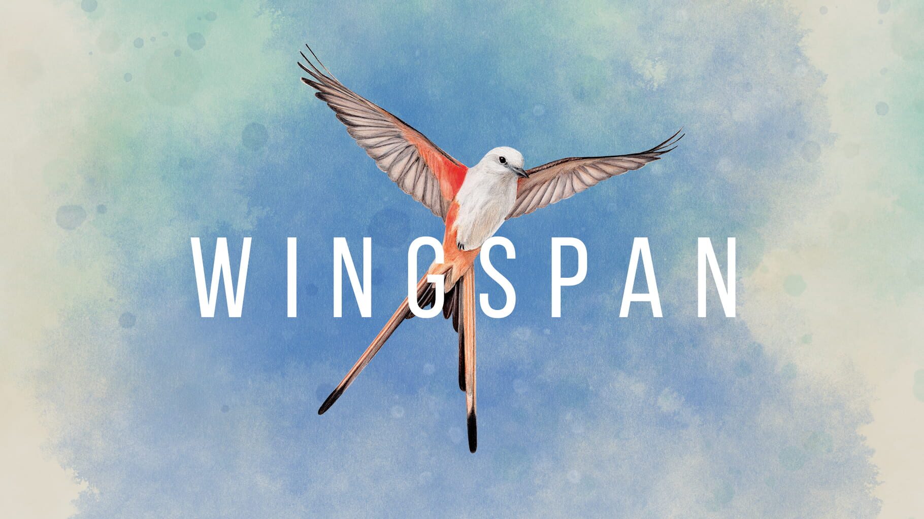 Wingspan artwork