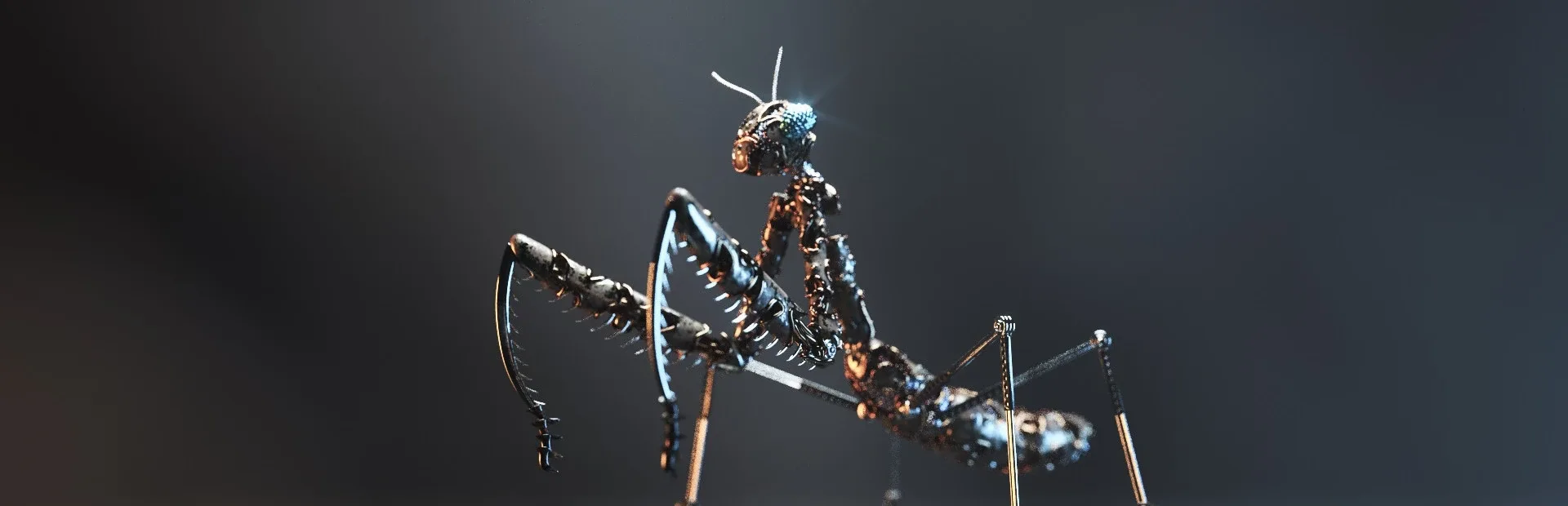 Beetle Hunter