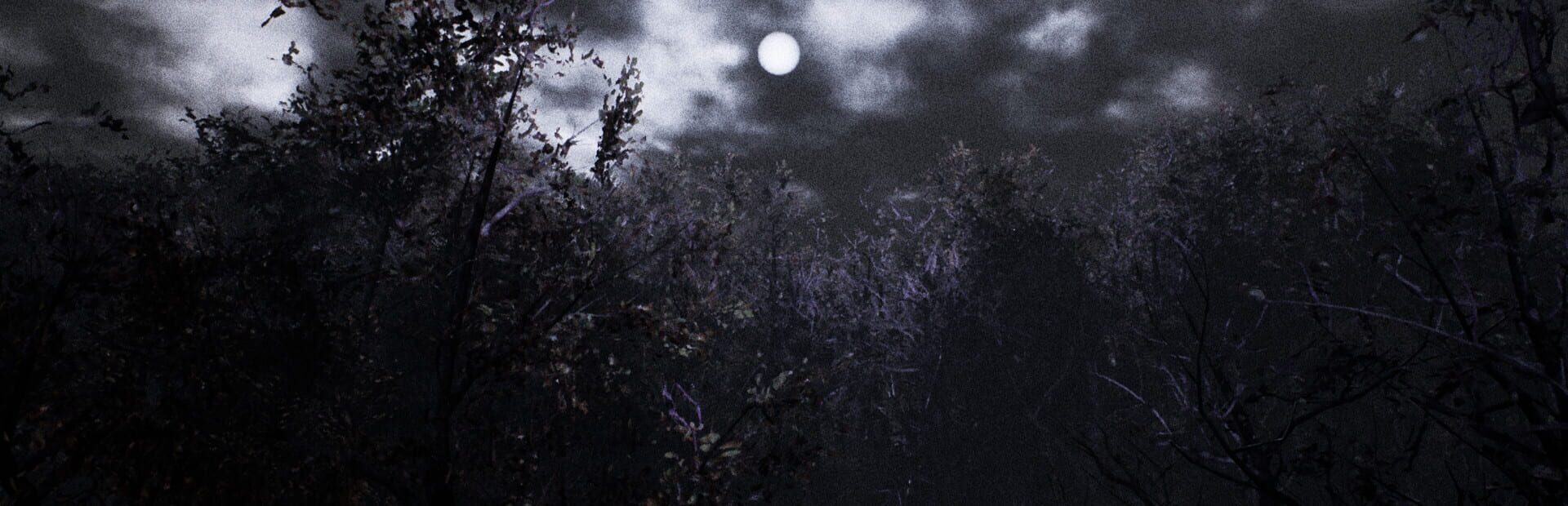 Artwork for Cult of Dawn