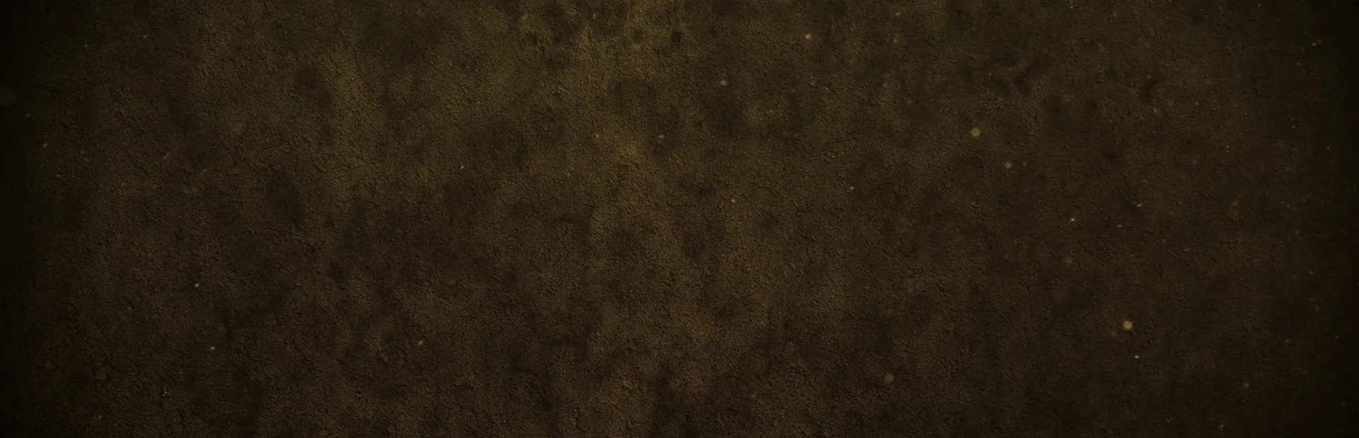 Jagged Alliance: Gold Edition