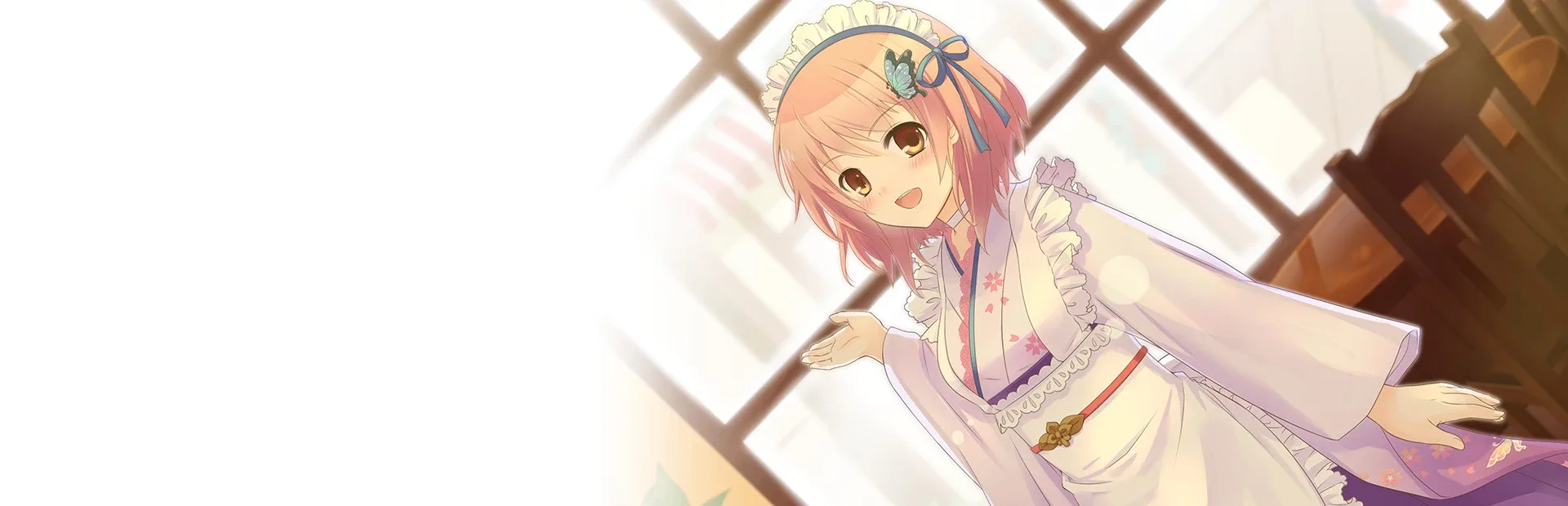 A Butterfly in the District of Dreams