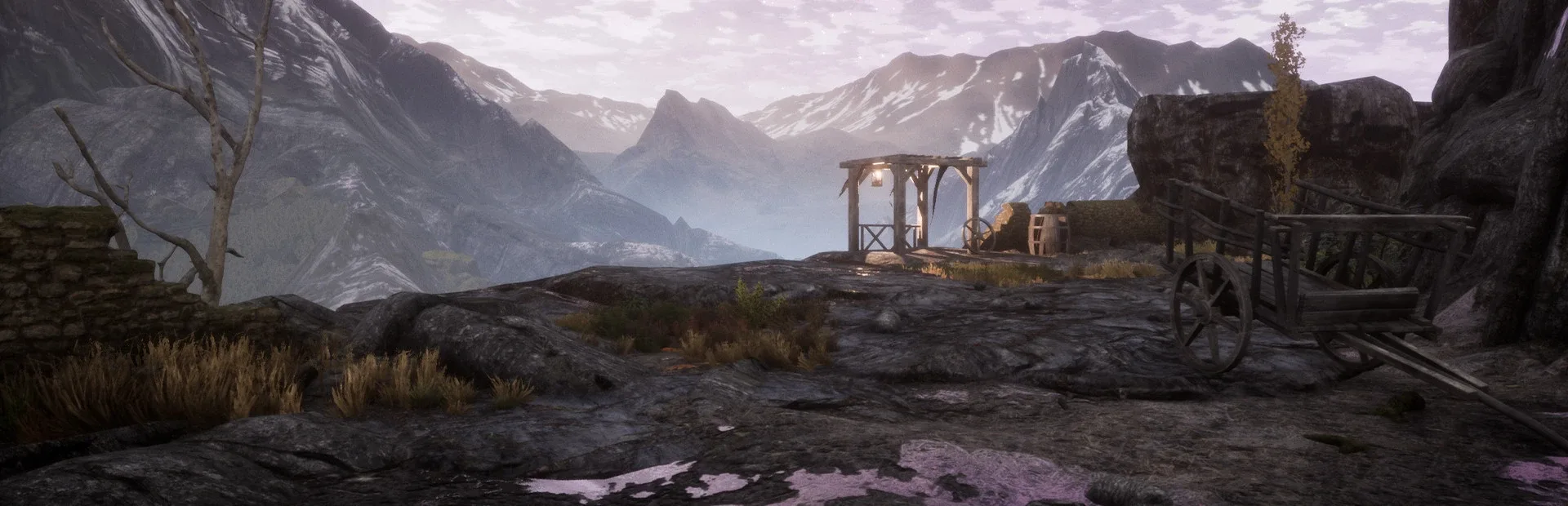 The Dead Tree of Ranchiuna