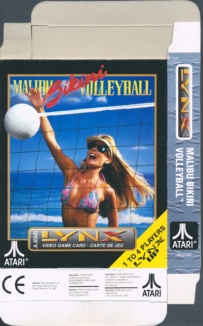 Arte - Malibu Bikini Volleyball