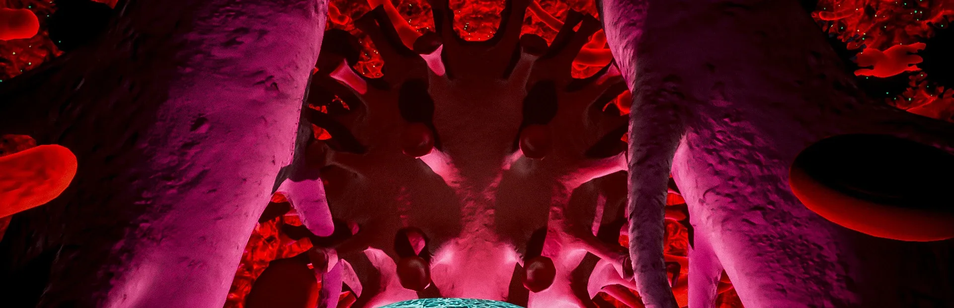 The Virus