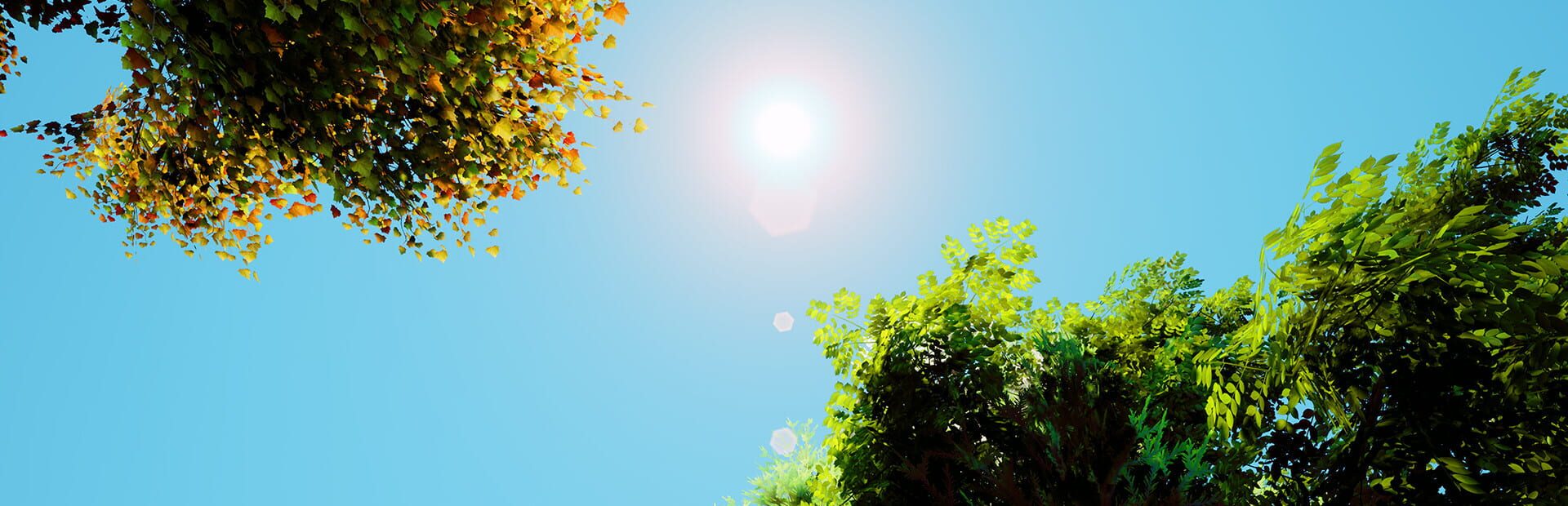 artwork 1