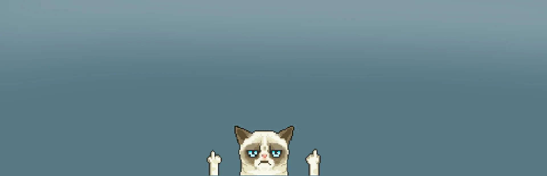 Puzzle Angry Cat