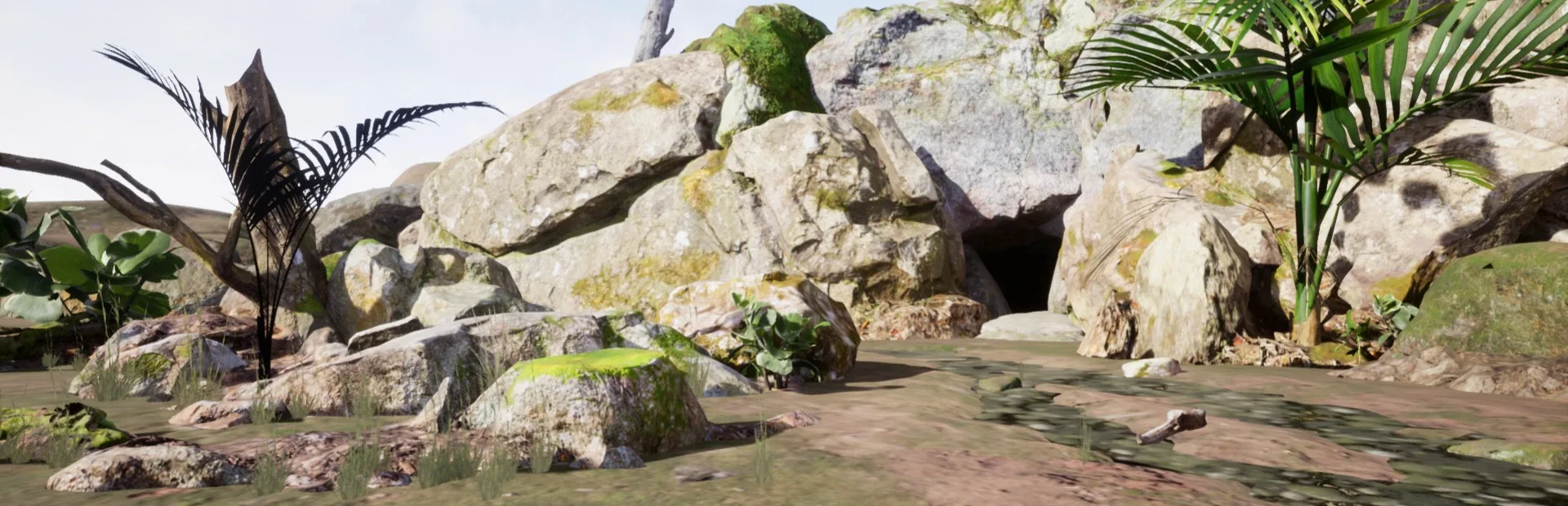 Cave Explorers