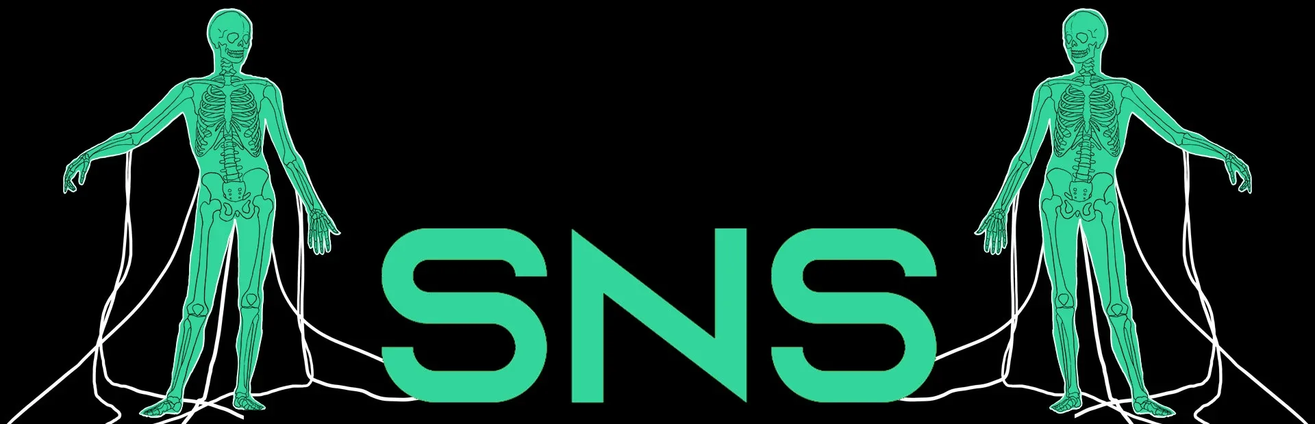 SNS
