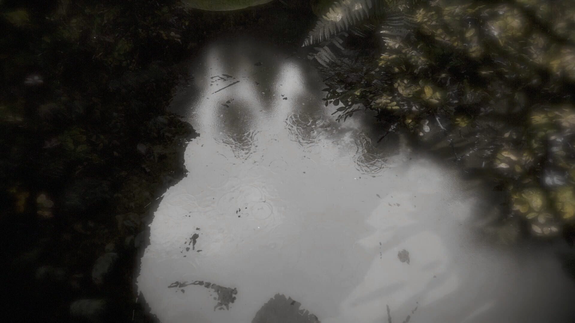 Reflecting Fate - Screenshot
