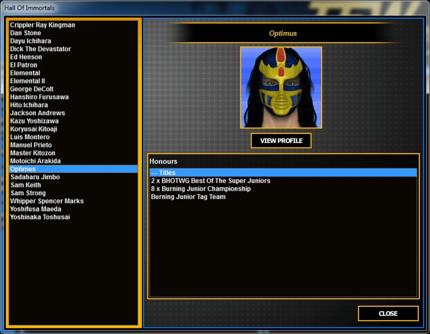 Total Extreme Wrestling 2013 screenshot