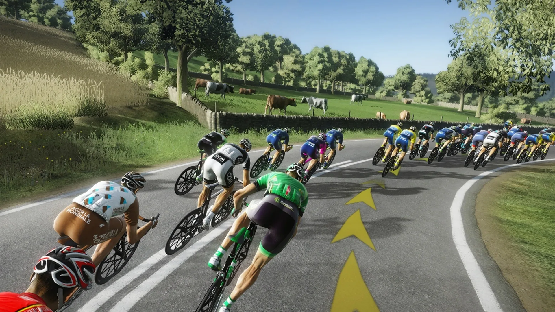 Captura de pantalla - Tour de France 2014