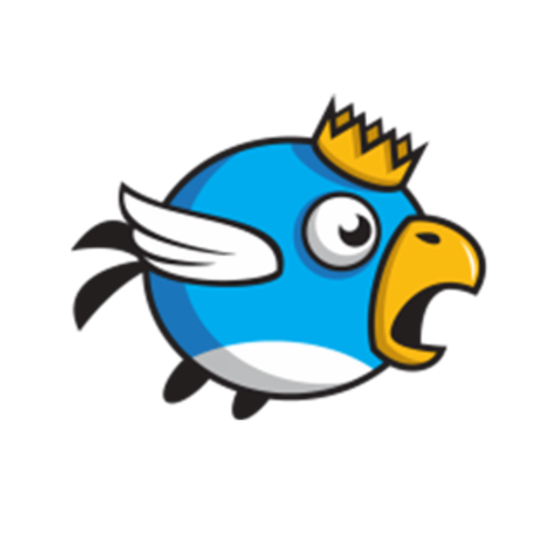 Bird Fall Cover