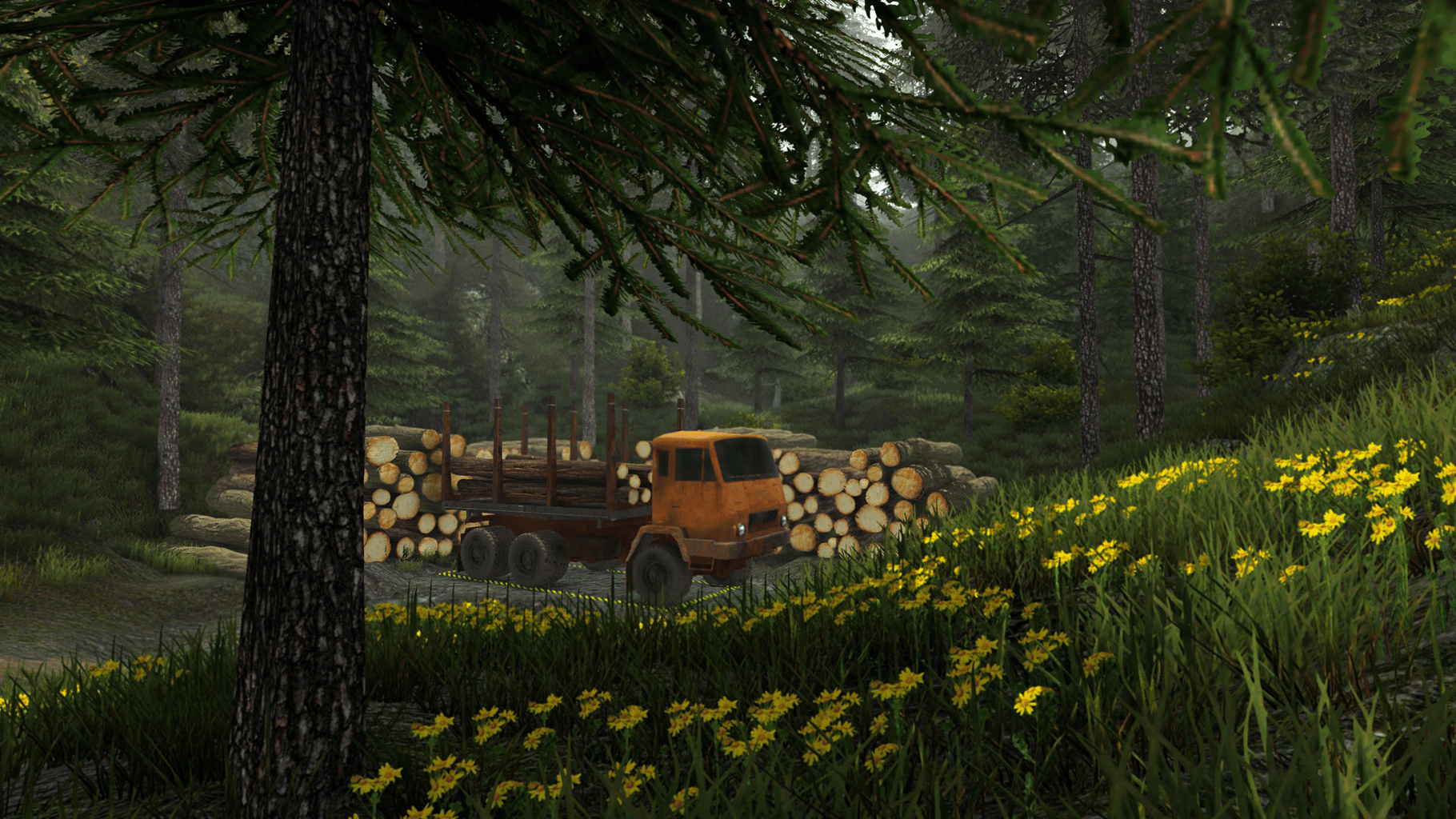 Professional Offroad Transport Simulator screenshot