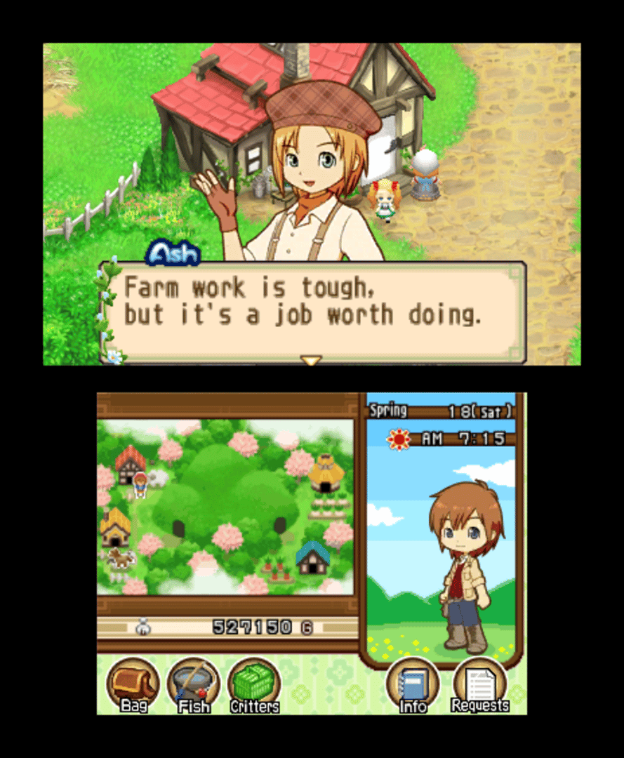 Harvest Moon: The Tale of Two Towns screenshot