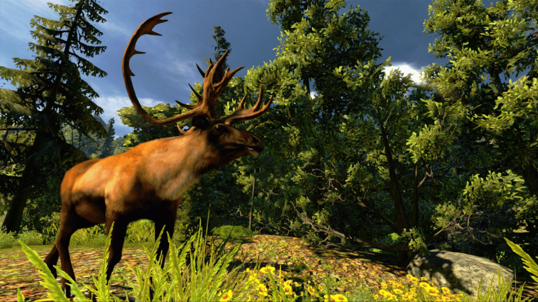 Cabela's Hunting Expeditions screenshot