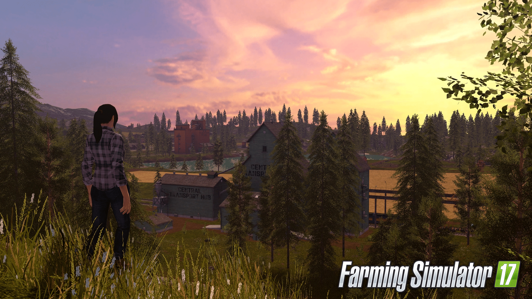 Farming Simulator 17 screenshot