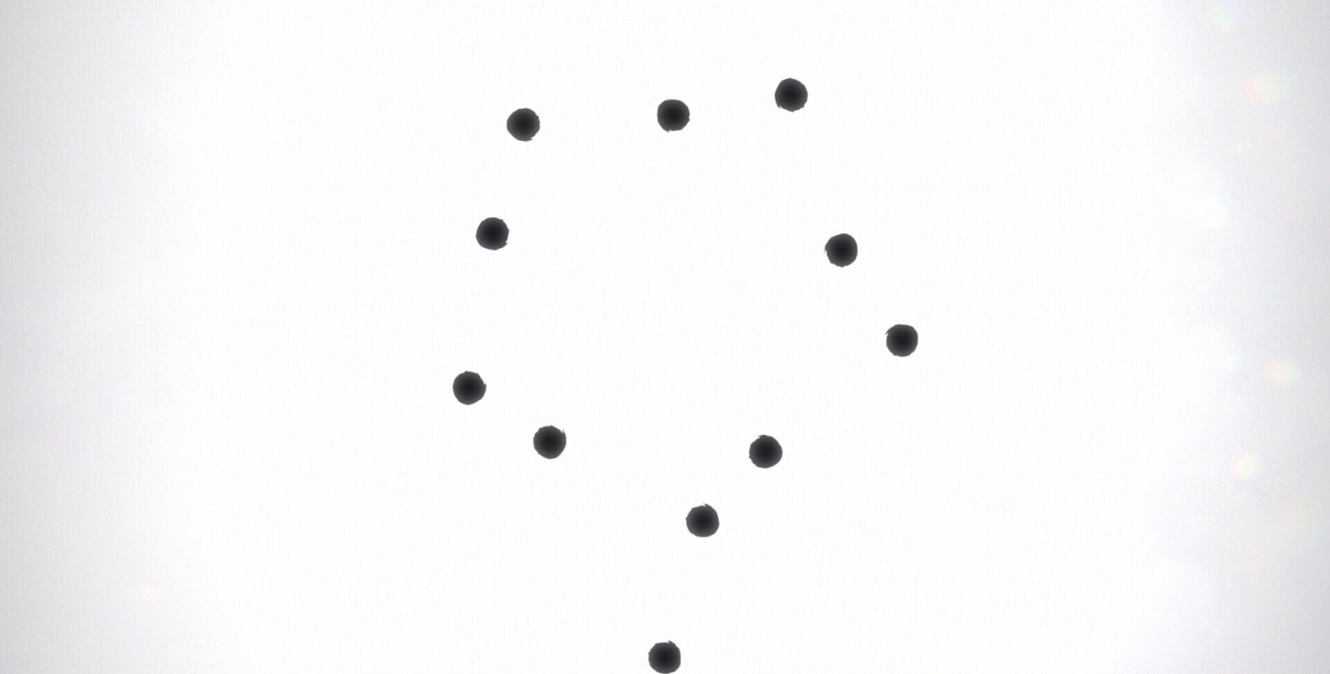 Black Circle