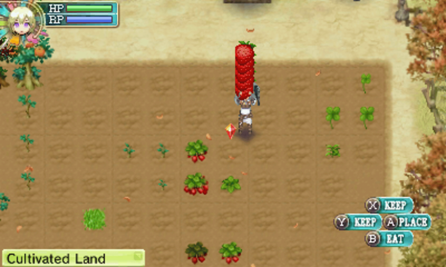 Rune Factory 4 screenshot