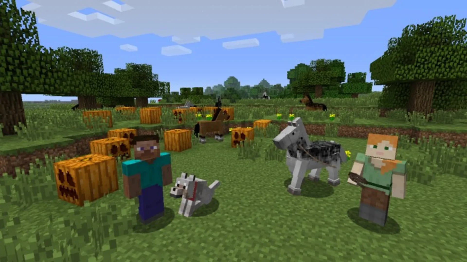 Captura de pantalla - Minecraft: Wii U Edition