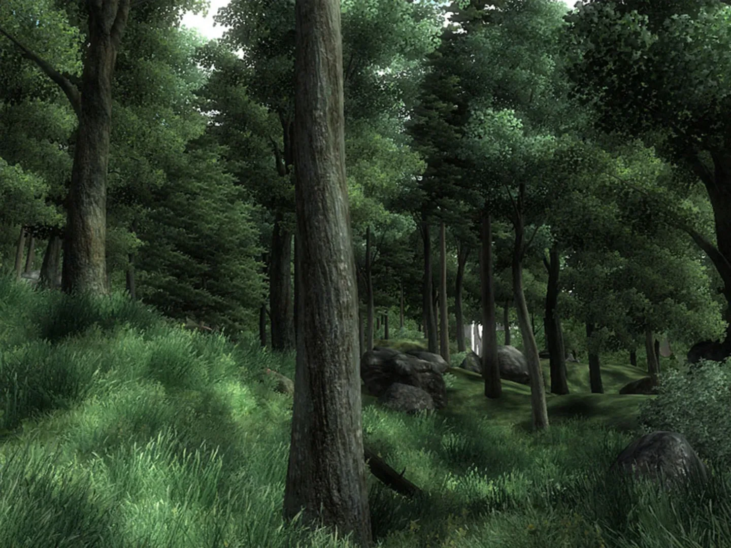 Captura de pantalla - The Elder Scrolls IV: Oblivion