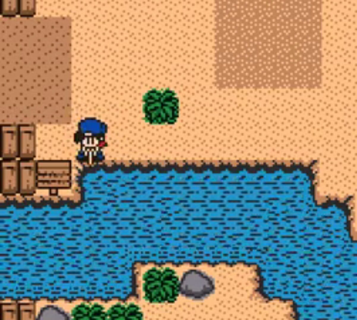 Captura de pantalla - Harvest Moon 2 GBC